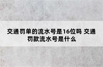 交通罚单的流水号是16位吗 交通罚款流水号是什么